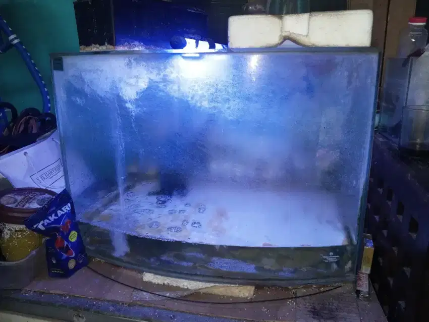 Aquarium kaca kembung tebal 250 nego