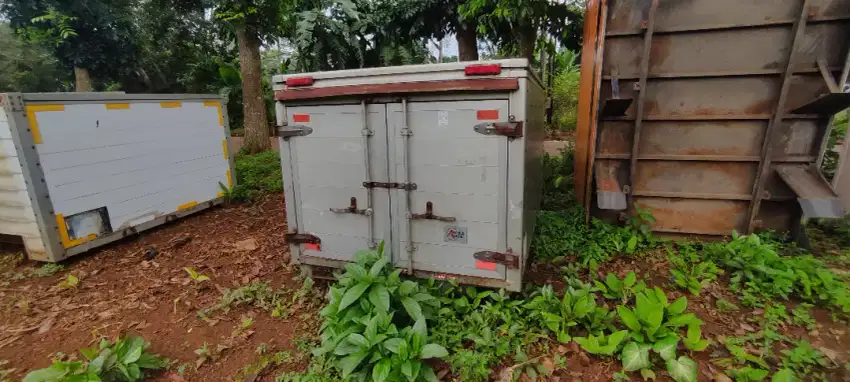 Box granmax , Box carry tayo , box futura , box l300 , box engkel