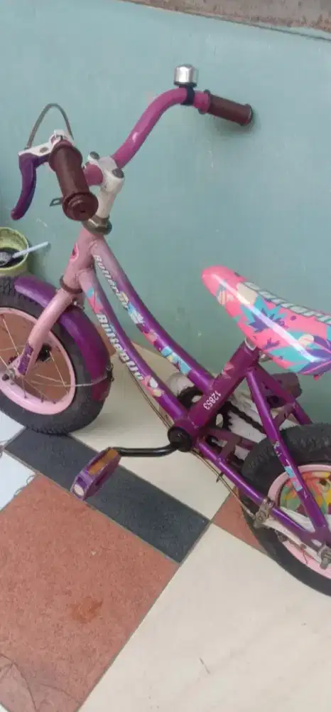 Sepeda butterfly anak size 12