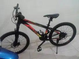 Sepeda MTB Pacific invert 100 24