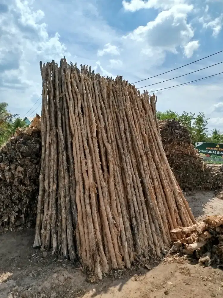 menjual gelam 5/7, 6/8, 8/10, 10/12