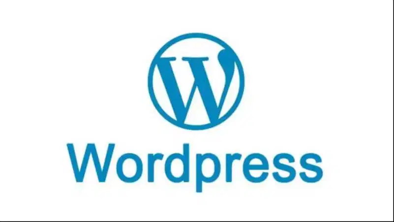 web developer cms wordpress ,joomla  +seo ( juga butuh content creator