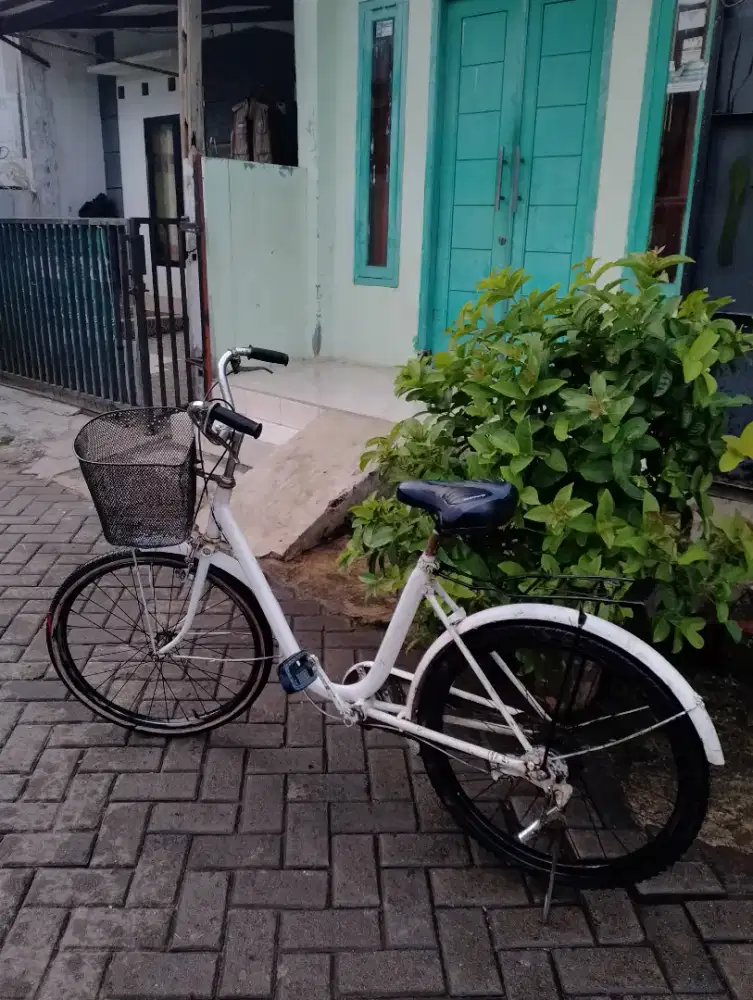 Sepeda orang dewasa/sepeda ontel