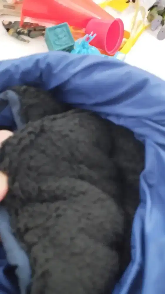 Sleeping bag kantung tidur promo