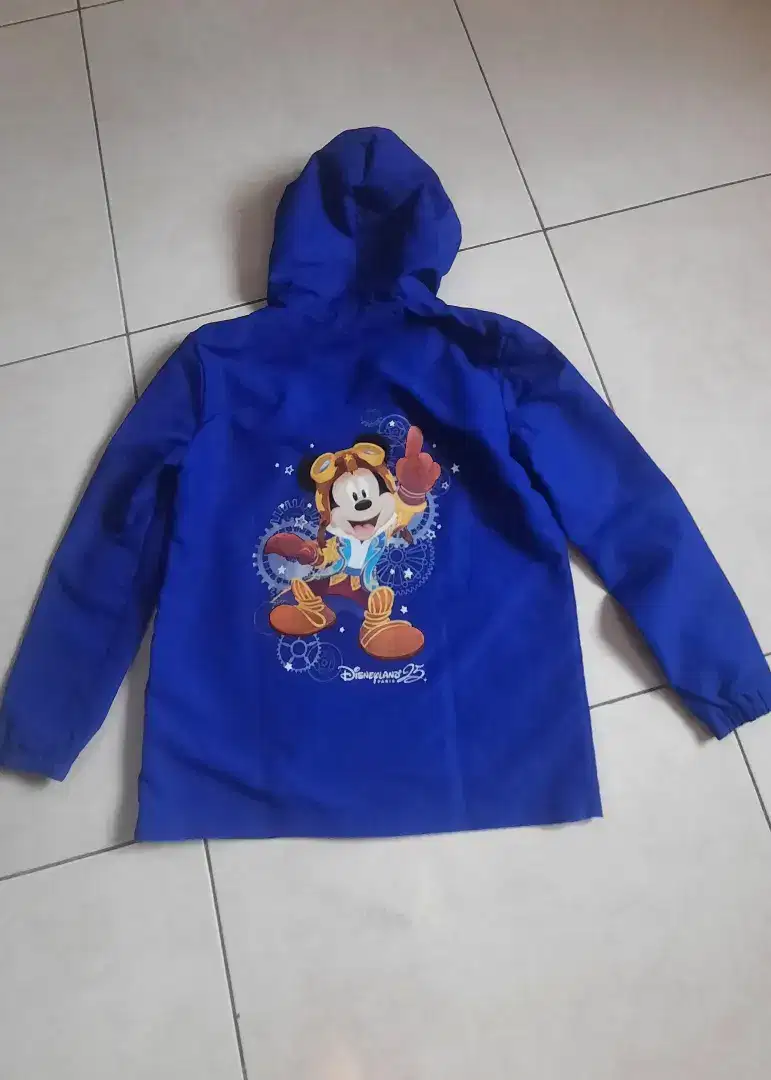 Sweater Disneyland Paris (25 Years of Stars) Ukuran 12 Anak ORIGINAL