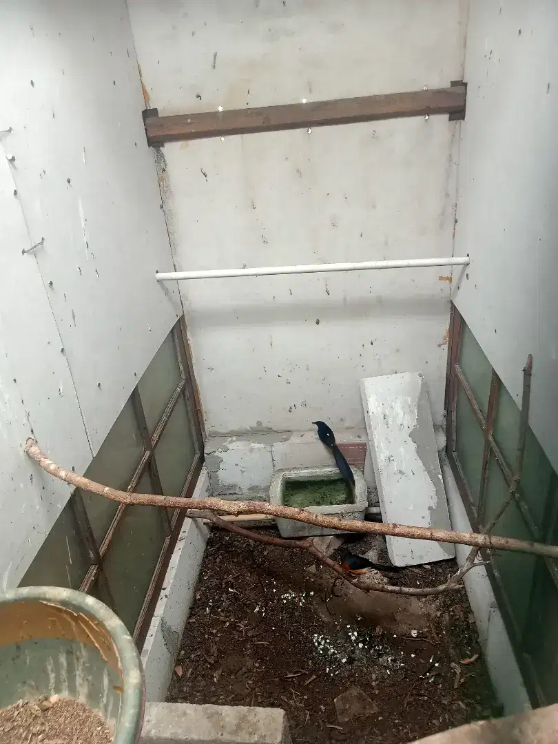 MB sepasang sudah produksi A35 burja