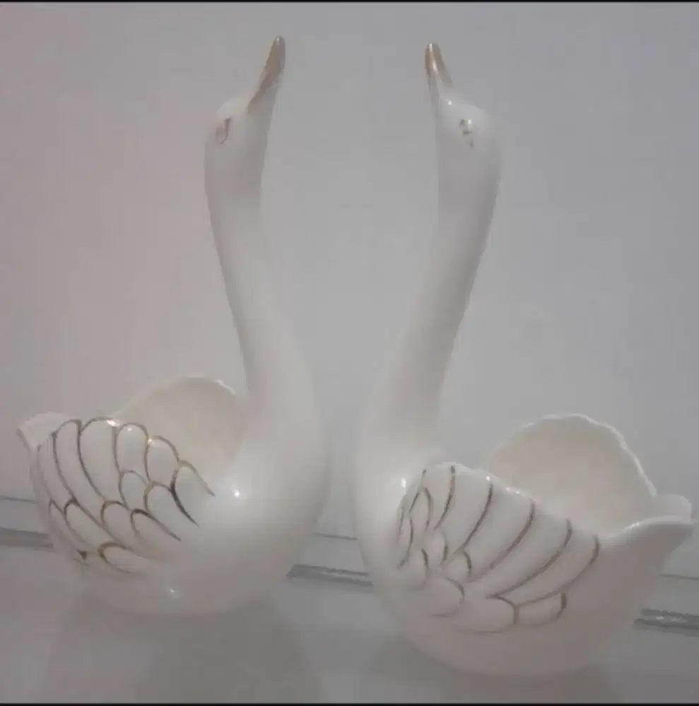 Pajangan sepasang angsa eropa