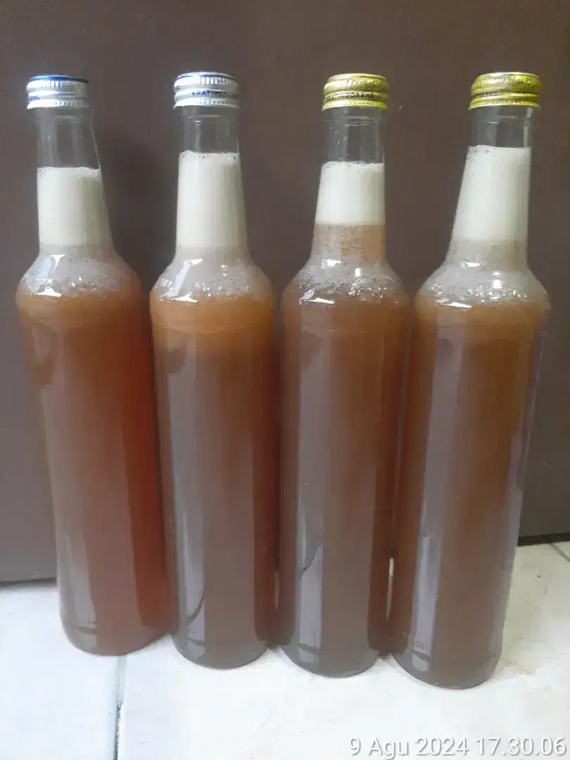 Madu Murni Asli Hutan Liar