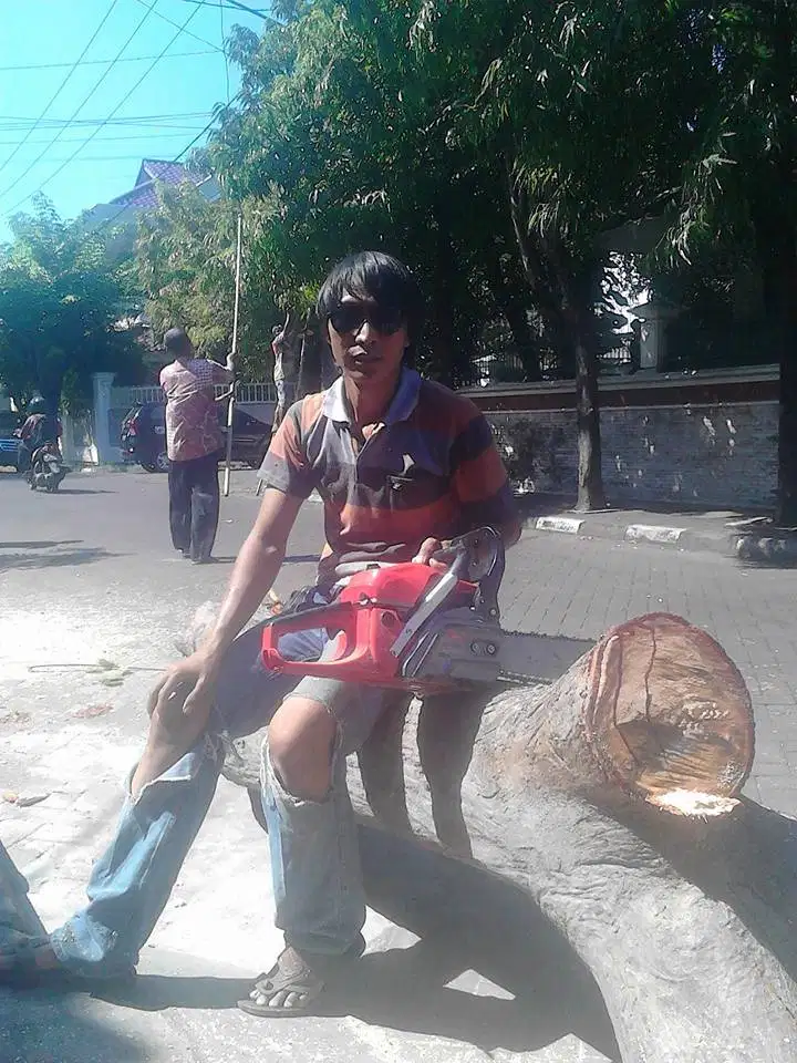 jasa potong pohon surabaya gresik sidoarjo tukang potong ahli potong