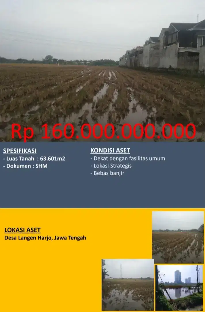 Dijual Tanah Sawah Desa Langen Harjo Jawa Tengah