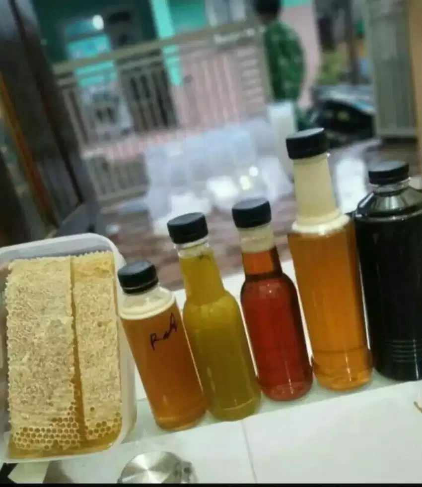 Grosir promo madu ternak madu cair n madu sarang
