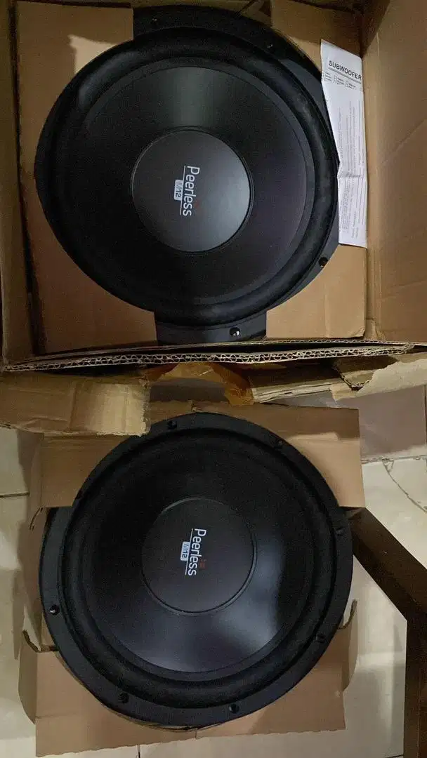 Subwoofer pearless 12 inch