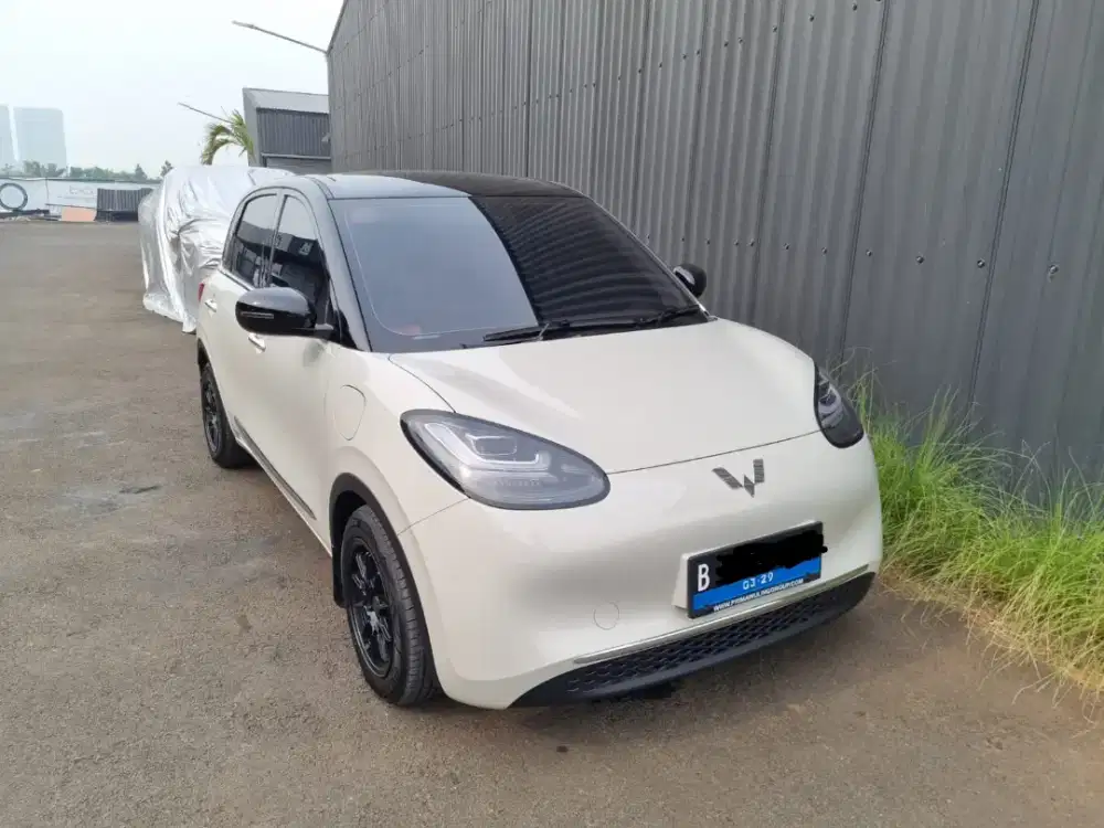 SIAP PAKAI BINGUO LONG RANGE 410km 2024.  MILK TEA