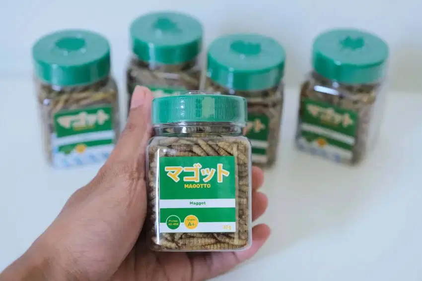 MAGOTTO Maggot kering BSF Grade A+ kemasan toples 30g Pakan