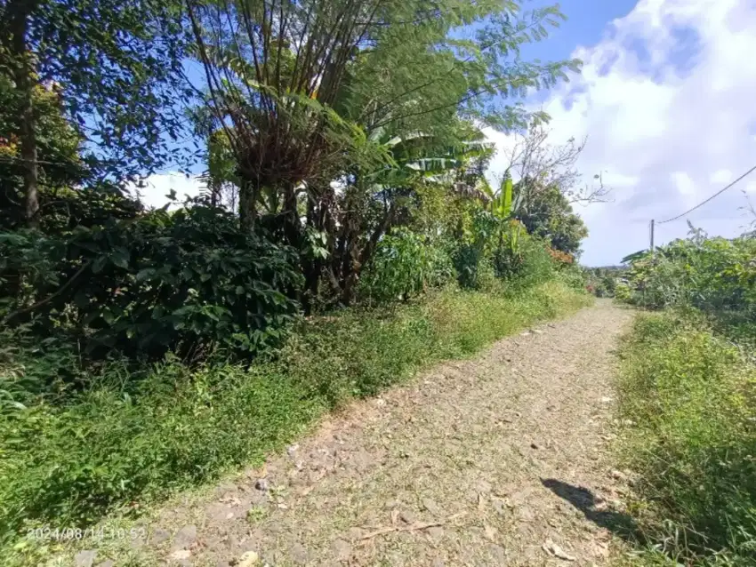 Tanah view lembah di Wanagiri dekat Munduk dan Bedugul