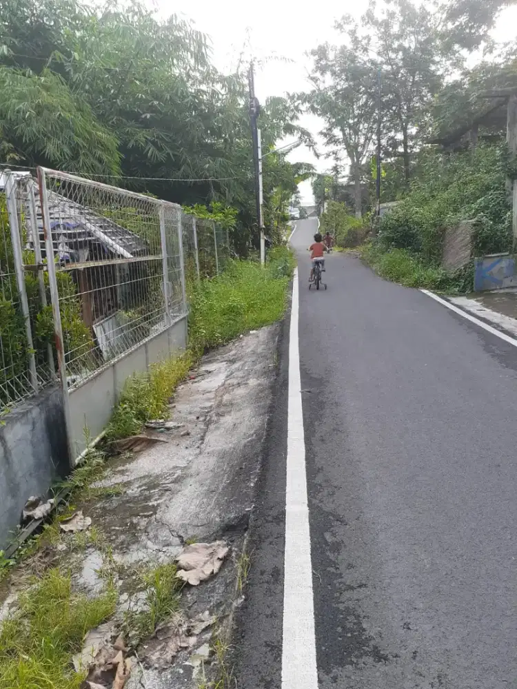 Jual tanah sudah pagar keliling lokasi utara jayawijaya lt 400m /2,3jt