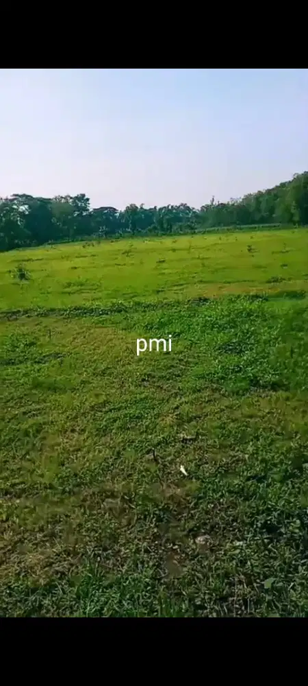 Jual tanah zona kuning lokasi sambi boyolali luas 4400mtr hrg 350rb/m