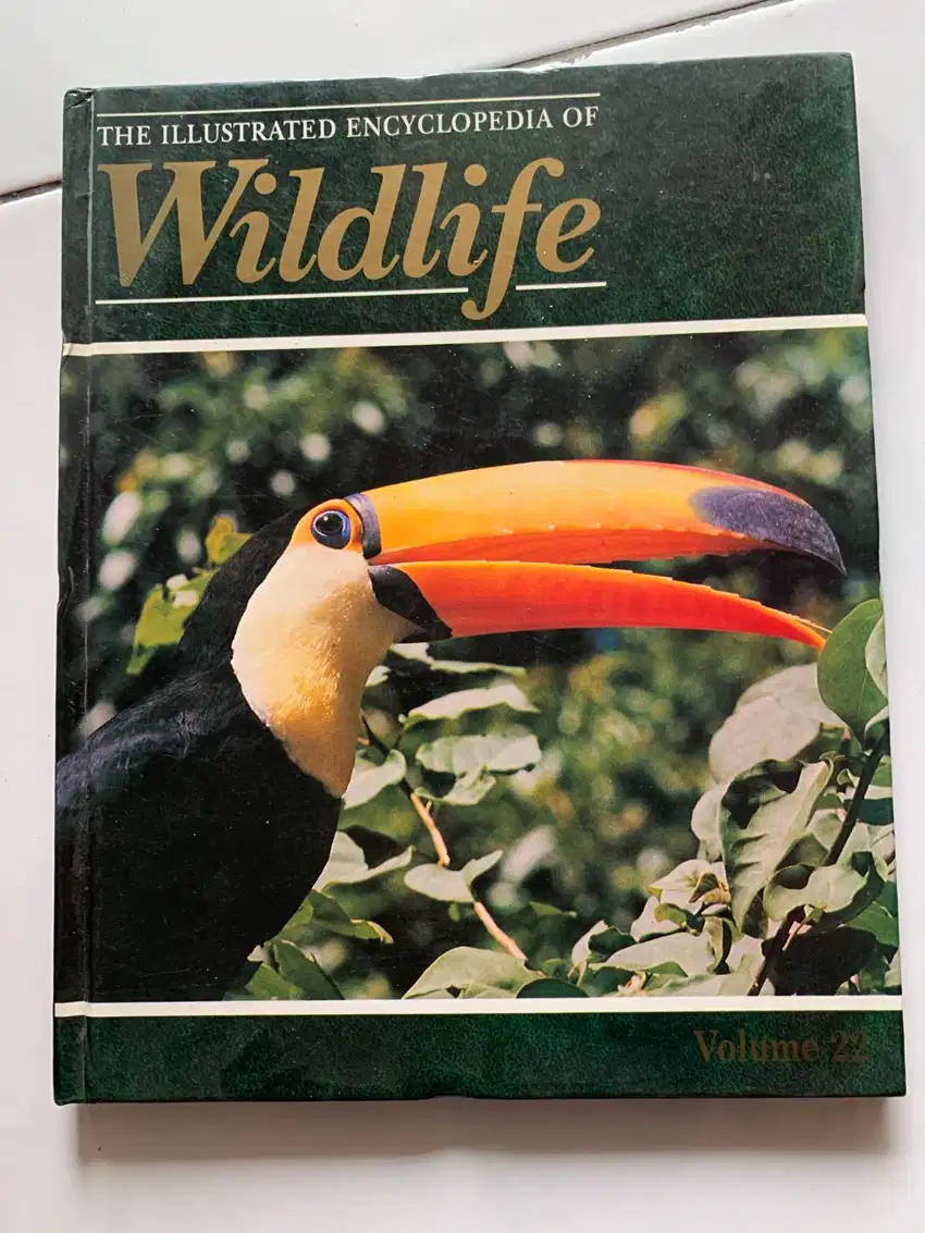 Buku untuk anak Wildlife