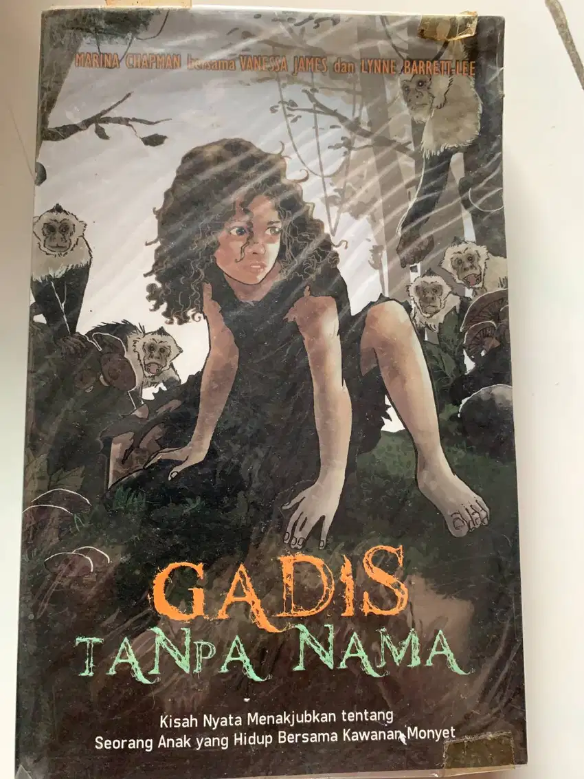 Novel Gadis Tanpa Nama