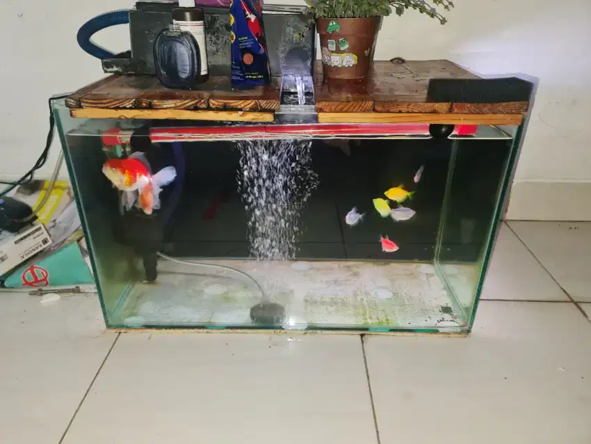 Aquarium ukuran 60x80 1 set lengkap alas 8mm