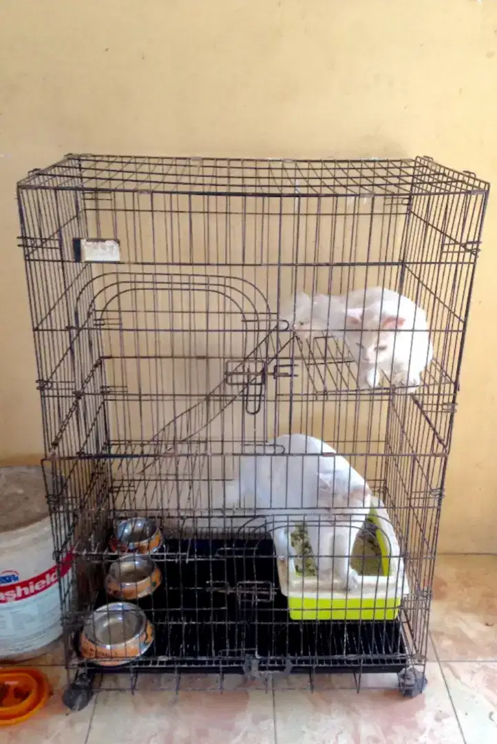 Kandang Kucing 3 tingkat 2 pintu