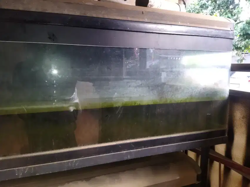 Aquarium / Akuarium Kaca Bending 150 x 45 x 65