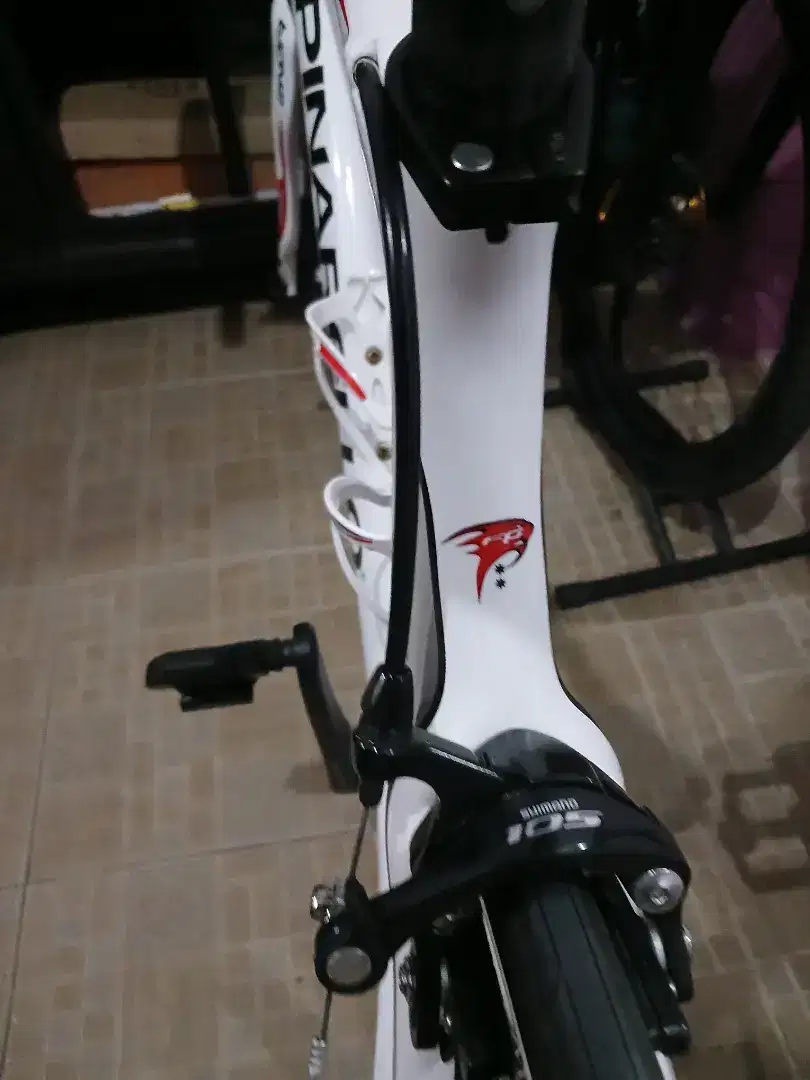 Pinarello fp team limited, setau saya satu2 nya di indonesia.