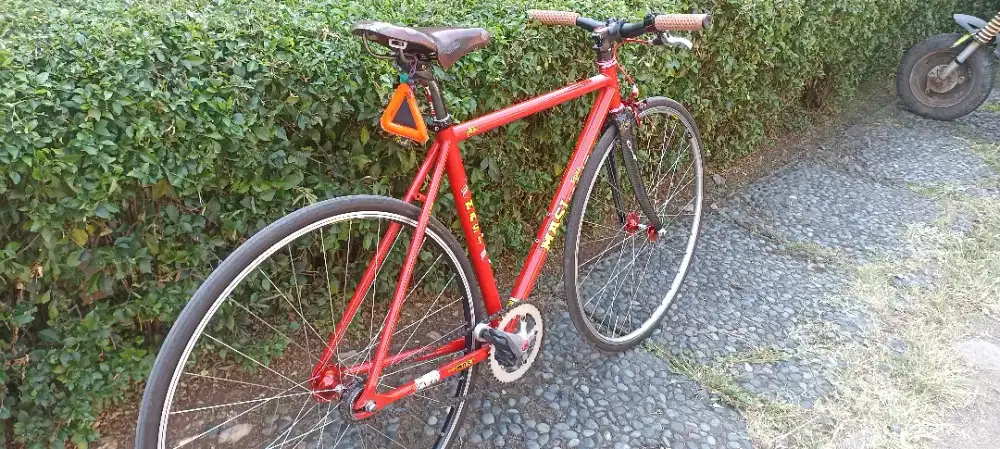Masi Bike (Masi)