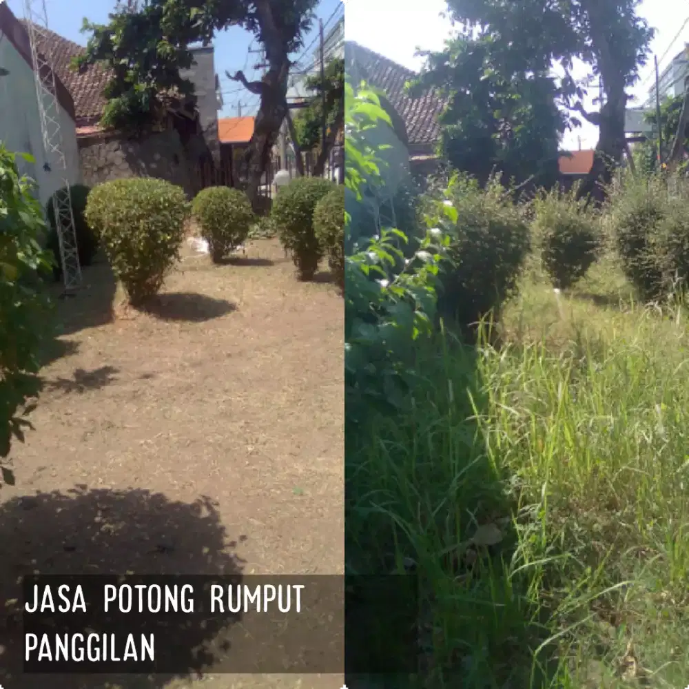 Jasa Potong Rumput Panggilan Rumahan Murah