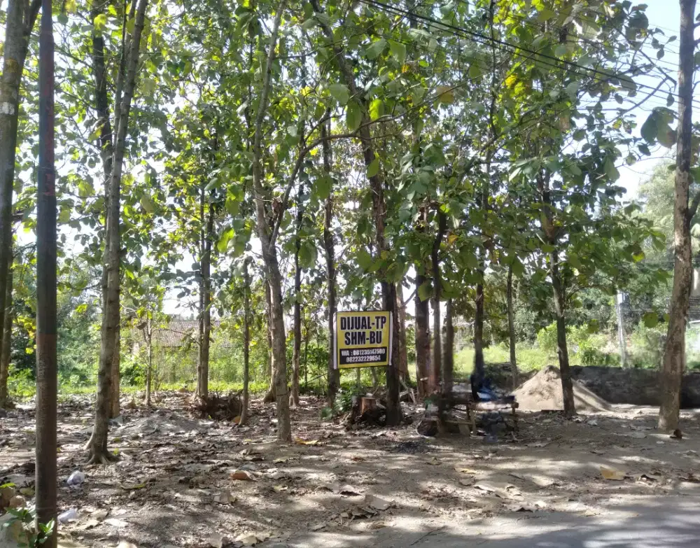 DIJUAL TANAH DI JEMBER