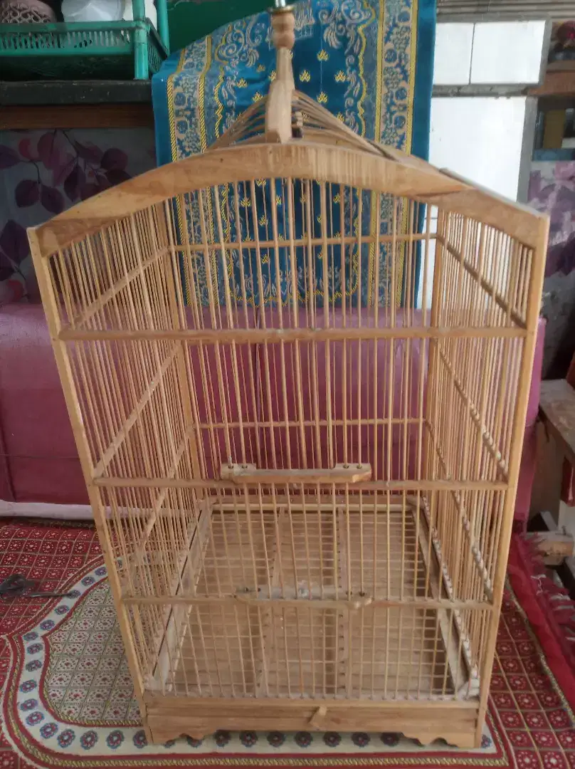 Barter/jual ajuin aja