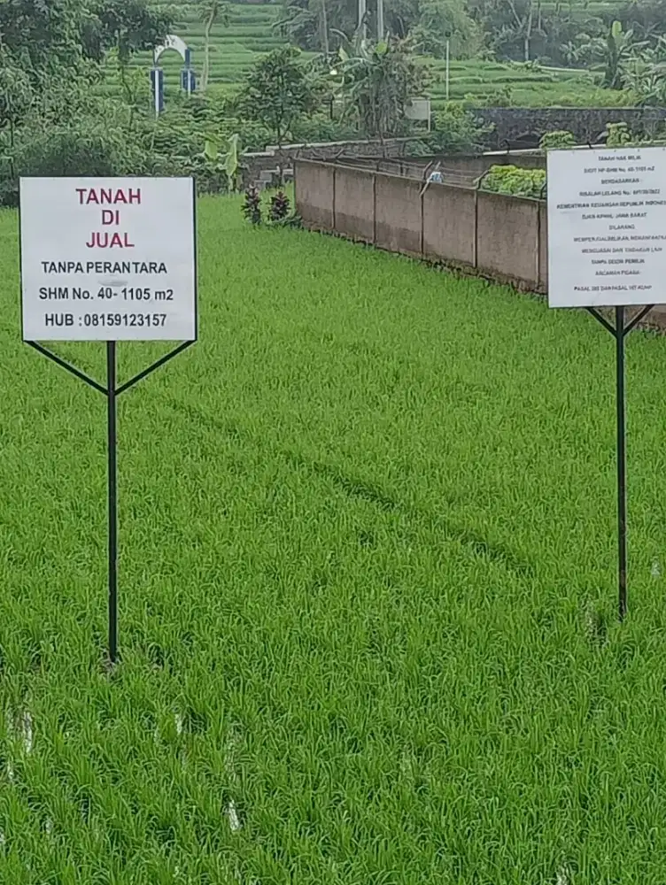 Dijual Sawah Produktif di Darmaraja Sumedang