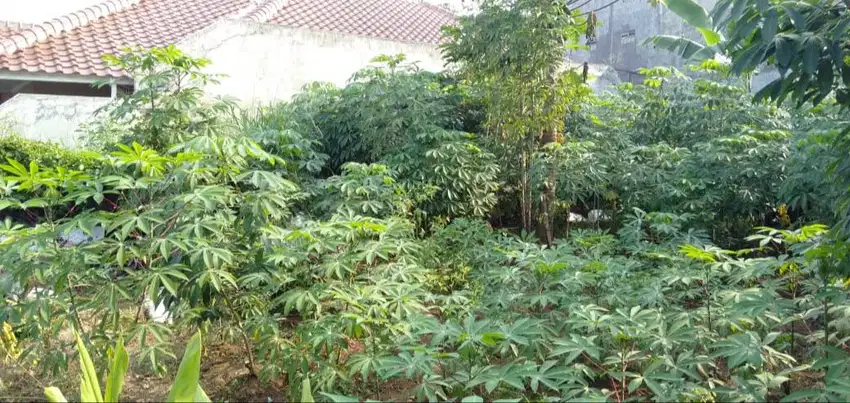 Dijual Tanah Jl Gunung batu Bandung