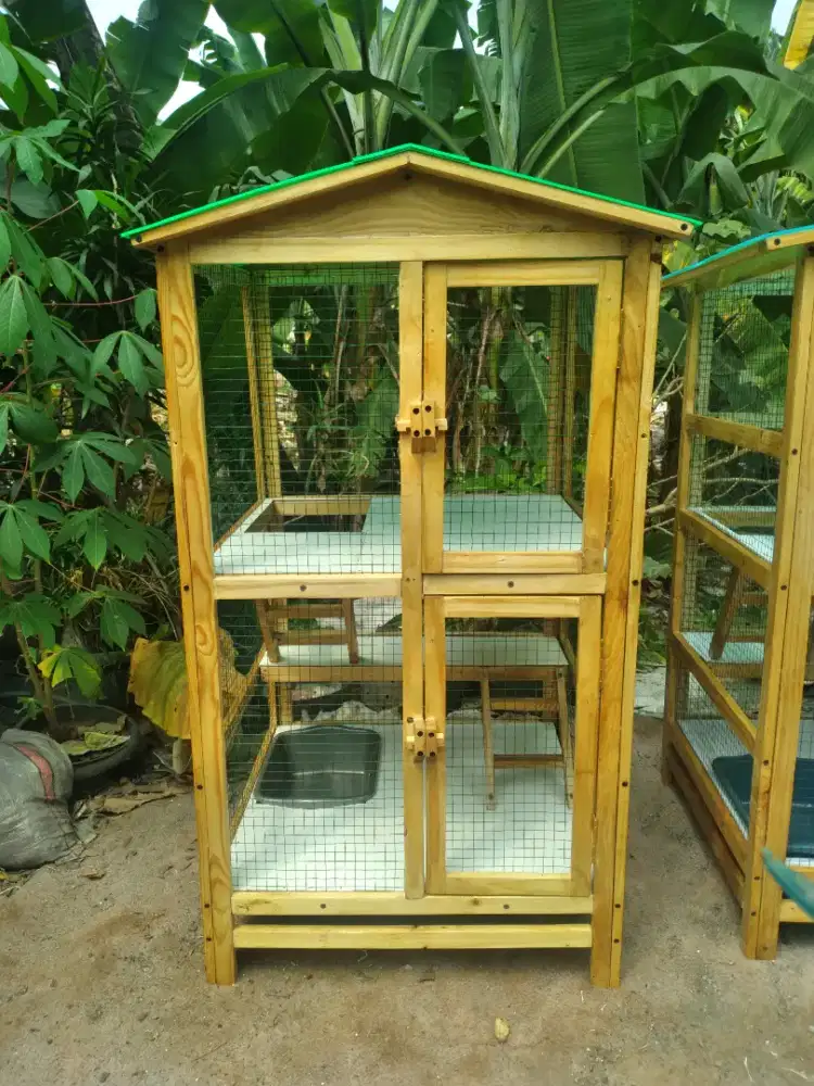 Kandang Kucing Tingkat Cantik