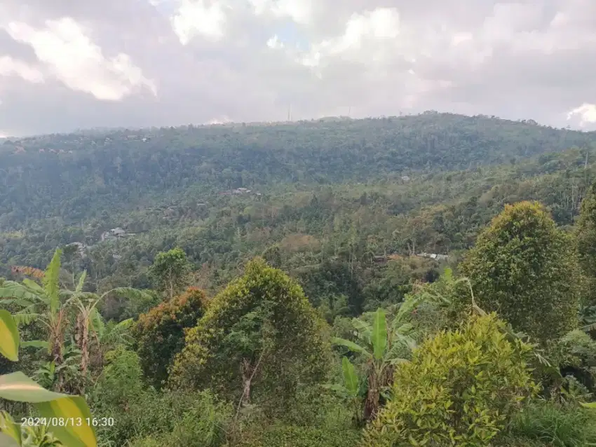 Tanah View Gunung dan Lembah di Munduk Singaraja Bali