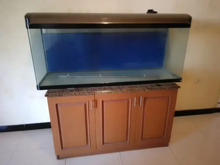 Aquarium Arwana