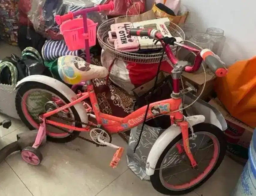 Sepeda anak perempuan