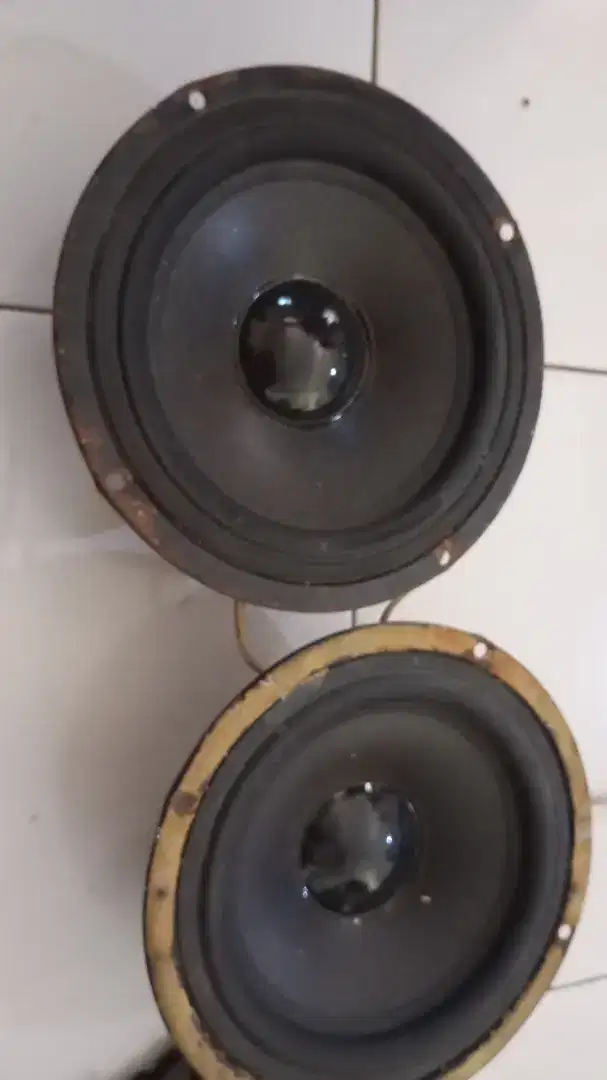 Speaker 8 inch copotan