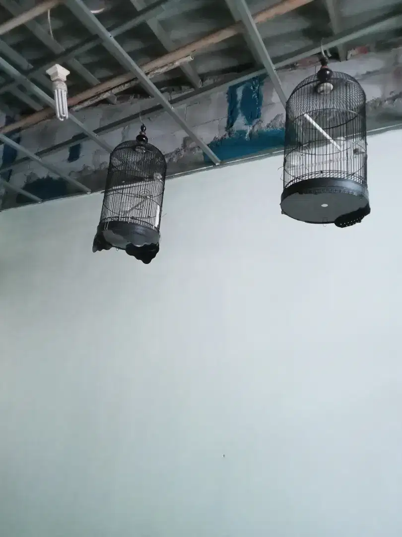 kandang kapsul 3