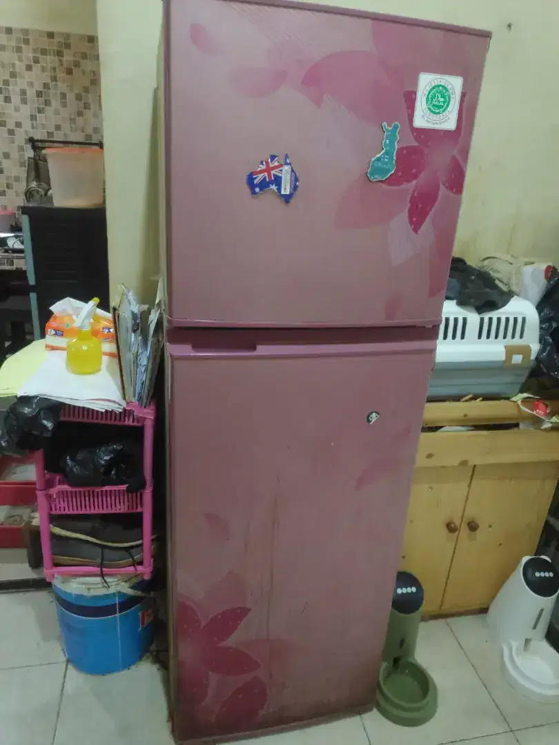 KULKAS SHARP 2 PINTU