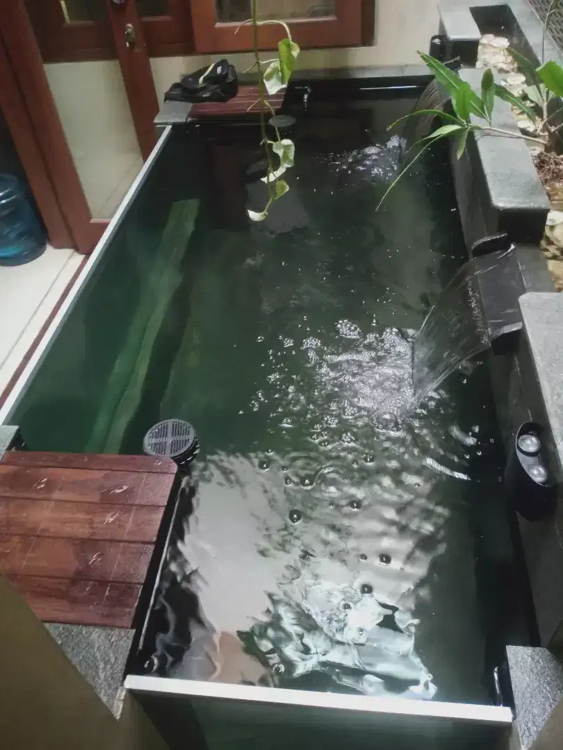 Kolam ikan koi minimalis
