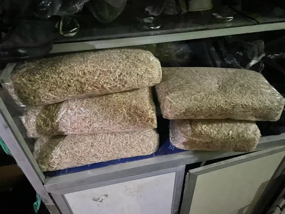 Serabut hamster landakmini gecko dapet 4