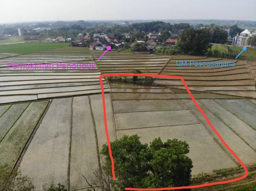 Dijual Sawah Produktif