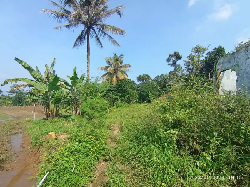 Dijual Kebun Duren 5 Ha, Leuwi Sadeng, Bogor Barat