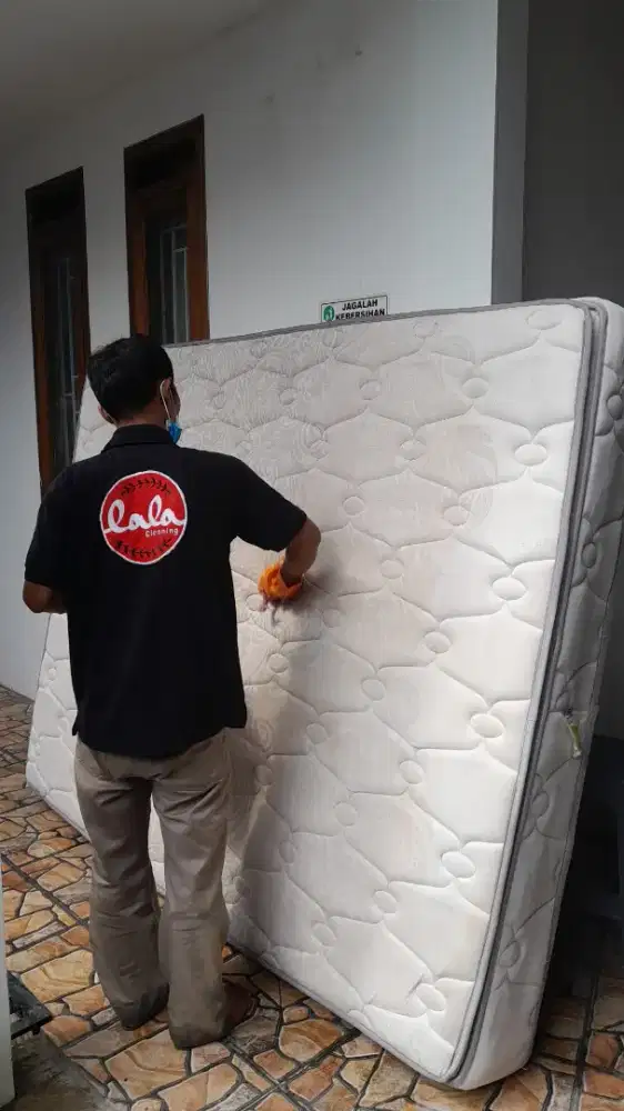 Jasa cuci kasur sofa jok mobil kursi kantor dll