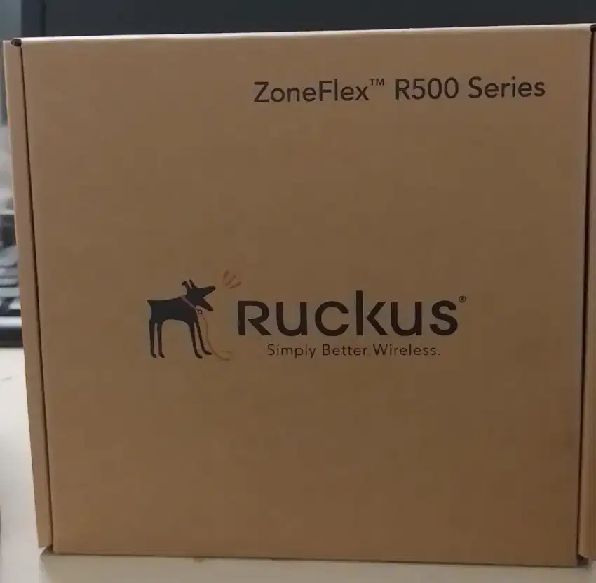 Ruckus Wireless ZoneFlex R500 Wireless Access Point