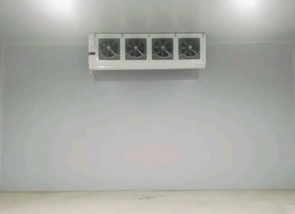 Cold Storage Freezer