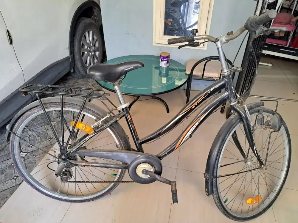 Sepeda sport model