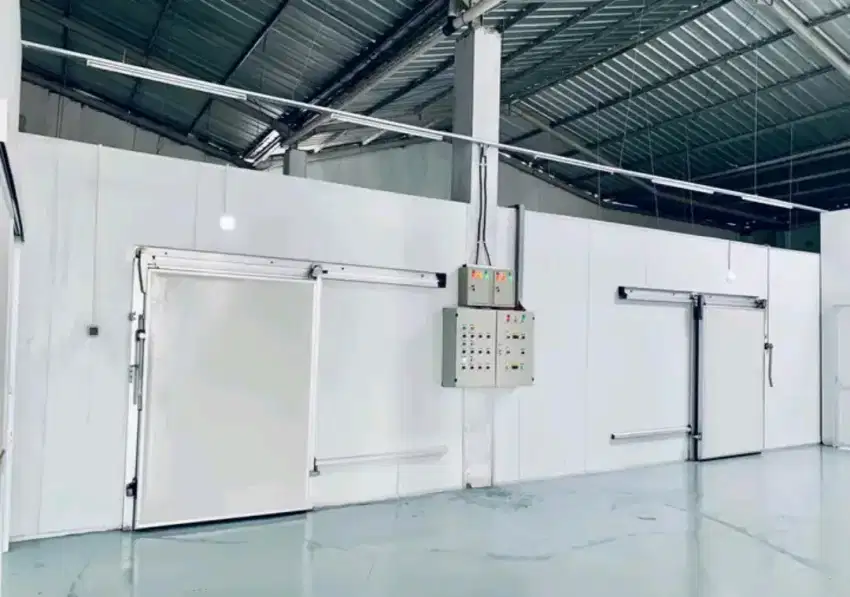 Cold Storage -20