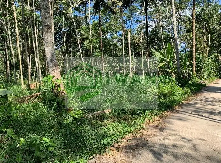 Tanah Kering/Pekarangan Hadap Jalan Cor Murah Dekat Mata Air